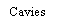 Text Box: Cavies