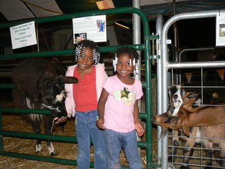 Petting Zoo